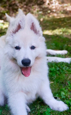Si belle Gaïa 